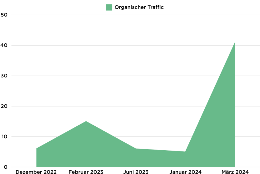 Besucherentwicklung nach der Arbeit unserer Webdesign Agentur